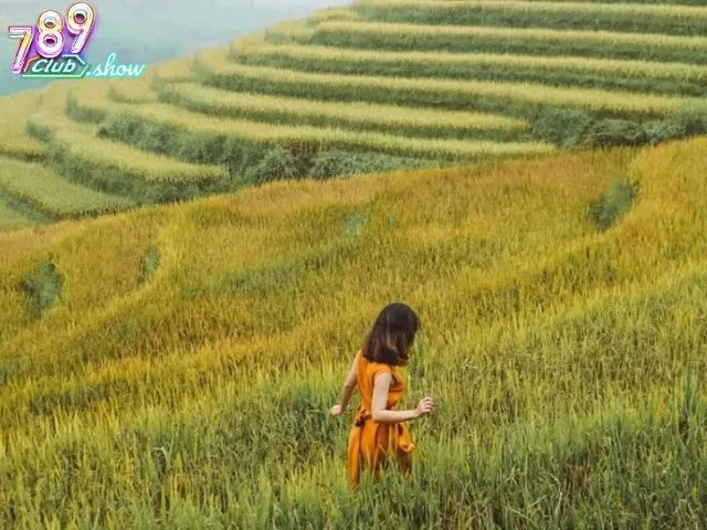 Chiêm bao thấy đi du lịch nước ngoài là điềm báo gì?