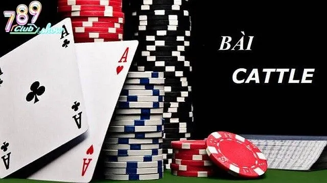 Để trở thành một người chơi giỏi, bạn cần nắm rõ luật chơi và quy tắc của Catte